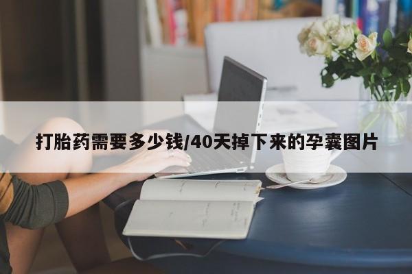 打胎药购买方式打胎药需要多少钱/40天掉下来的孕囊图片